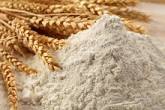 wheat flour